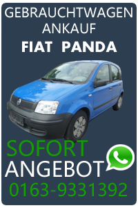 Fiat Panda Gebrauchtwagen Ankauf
