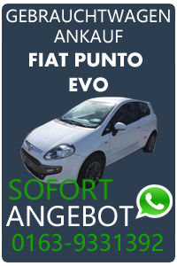 Fiat Punto Evo Gebrauchtwagen Ankauf