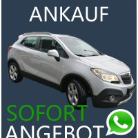 Unfallwagen Ankauf Opel Mokka